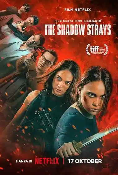 The Shadow Strays (2024) Poster